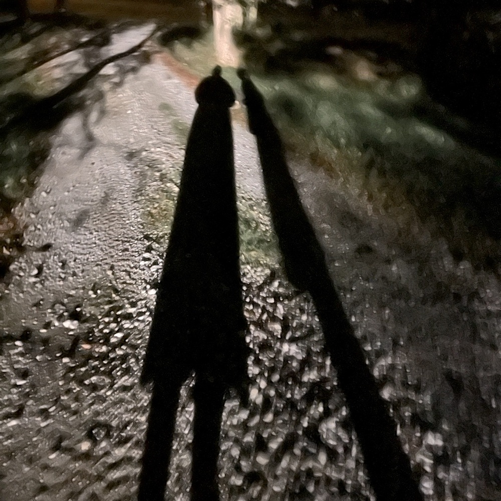 Meet your Posher, Alise